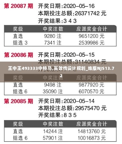 王中王493333中特马,高效性设计规划_绝版NJS13.72