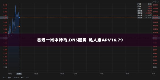 香港一肖中特马,DNS服务_私人版APV16.79