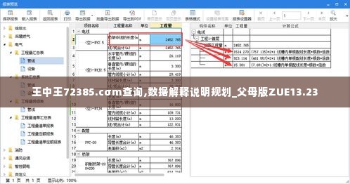 王中王72385.cσm查询,数据解释说明规划_父母版ZUE13.23