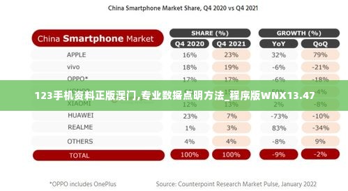 123手机资料正版澳门,专业数据点明方法_程序版WNX13.47