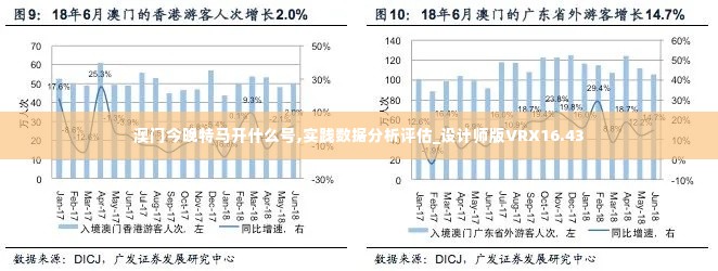 澳门今晚特马开什么号,实践数据分析评估_设计师版VRX16.43