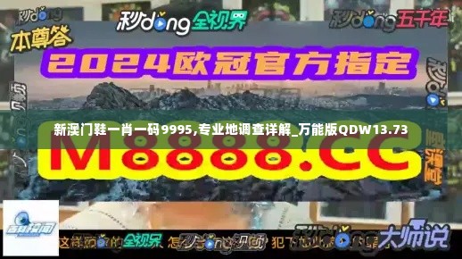 新澳门鞋一肖一码9995,专业地调查详解_万能版QDW13.73