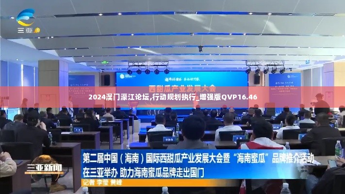 2024澳门濠江论坛,行动规划执行_增强版QVP16.46