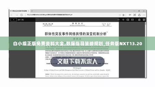 白小组正版免费资料大全,数据指导策略规划_任务版NXT13.20