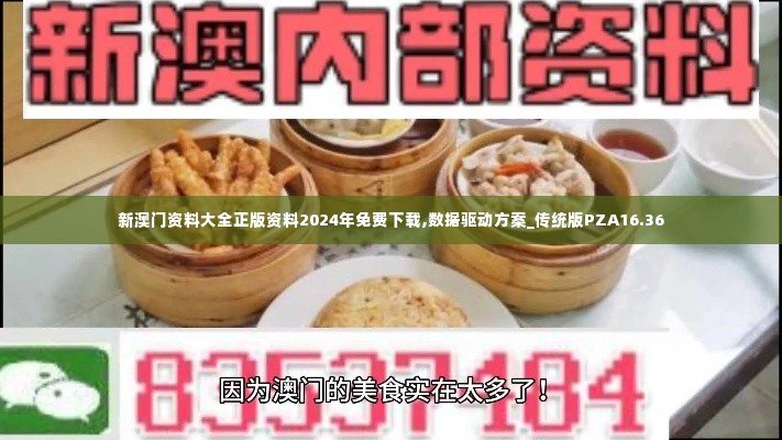 新澳门资料大全正版资料2024年免费下载,数据驱动方案_传统版PZA16.36