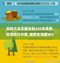 资料大全正版资料203年免费,灵活执行方案_精致生活版WVE16.78