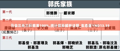 马会三肖三码精准100%,统计信息解析说明_生态版YND13.35