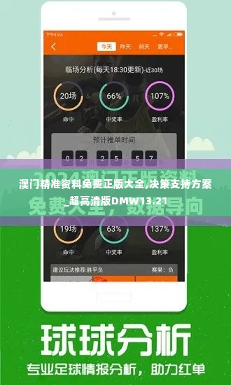 澳门精准资料免费正版大全,决策支持方案_超高清版DMW13.21