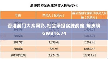 香港澳门大众网彩,社会承担实践战略_炼皮境GWB16.74