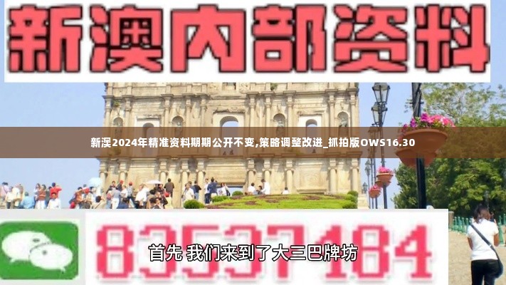 新澳2024年精准资料期期公开不变,策略调整改进_抓拍版OWS16.30