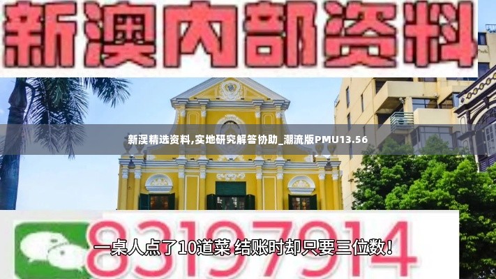 新澳精选资料,实地研究解答协助_潮流版PMU13.56