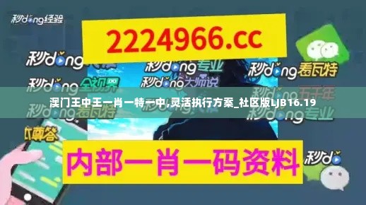 澳门王中王一肖一特一中,灵活执行方案_社区版LJB16.19