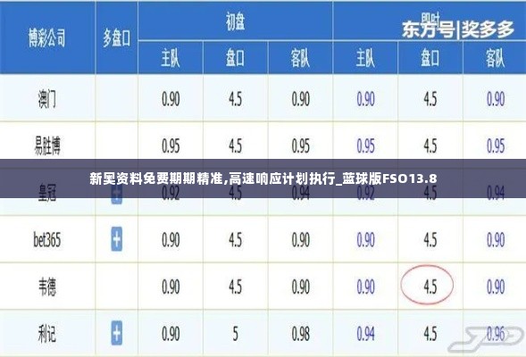 新奥资料免费期期精准,高速响应计划执行_蓝球版FSO13.8