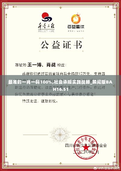 最准的一肖一码100%,社会承担实践战略_瞬间版BAH16.51