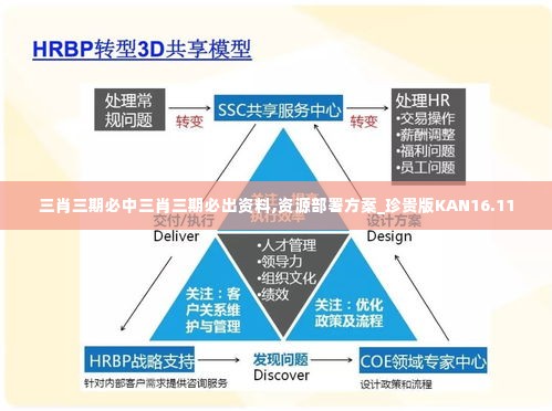 三肖三期必中三肖三期必出资料,资源部署方案_珍贵版KAN16.11