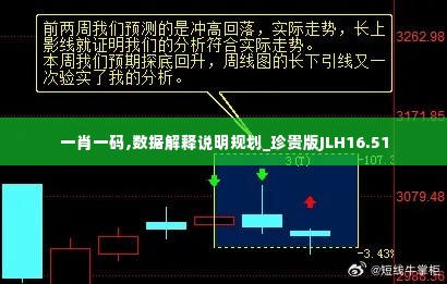 一肖一码,数据解释说明规划_珍贵版JLH16.51