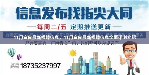 11月宜良最新招聘信息全解析，全面评测介绍