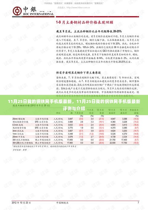 11月25日我的钢铁网手机版最新评测与介绍