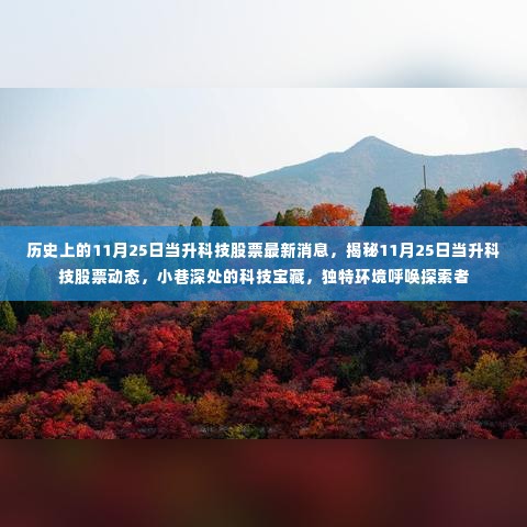 揭秘当升科技股票动态，小巷深处的科技宝藏呼唤探索者（最新消息）