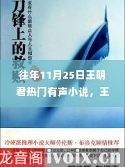 王明君有声小说历年回响与经典传承，历年11月25日的回顾与传承