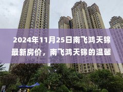 南飞鸿天锦房价动态，温馨家园背后的故事与友情家庭的纽带（2024年11月25日）