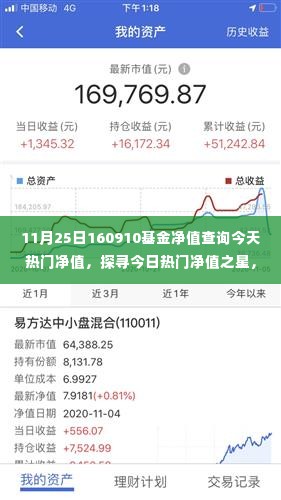 揭秘基金代码160910今日净值背后的故事，探寻热门净值之星，热门基金净值查询报告（日期，11月25日）