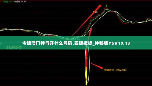 今晚澳门特马开什么号码,实际指标_神秘版YSV19.13