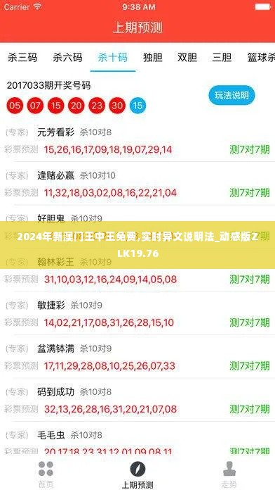 2024年新澳门王中王免费,实时异文说明法_动感版ZLK19.76