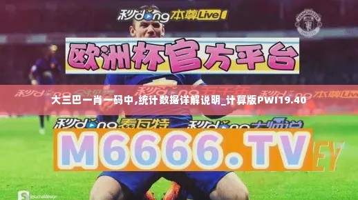 大三巴一肖一码中,统计数据详解说明_计算版PWI19.40