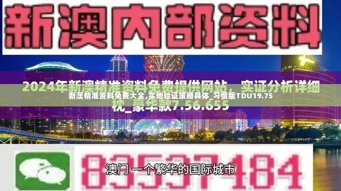 新澳精准资料免费大全,实地验证策略具体_习惯版TDU19.75