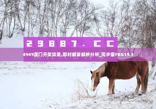 4949澳门开奖结果,即时解答解析分析_同步版FBG19.3