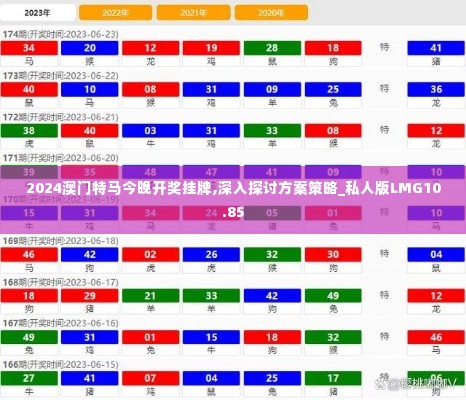 2024澳门特马今晚开奖挂牌,深入探讨方案策略_私人版LMG10.85