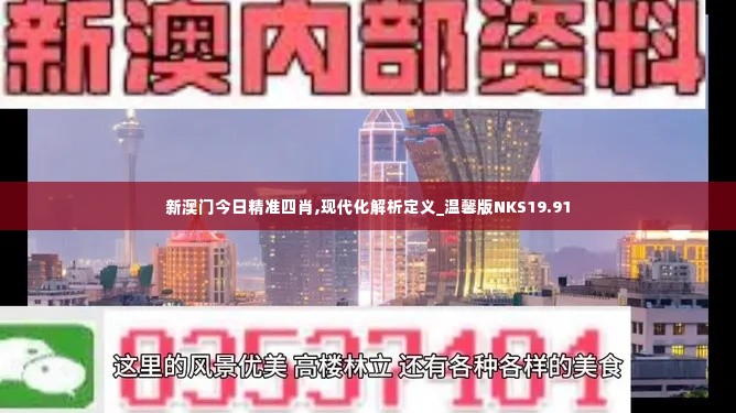 新澳门今日精准四肖,现代化解析定义_温馨版NKS19.91