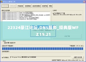 22324豪江论坛,DNS服务_经典版WFZ19.21