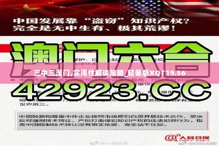 三中三澳门,实用性解读策略_轻奢版XQT19.56