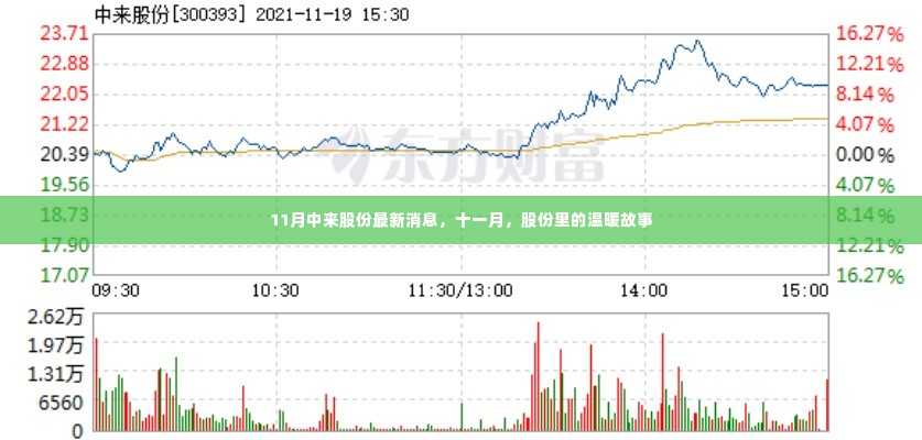 股份中的温暖故事，十一月最新动态揭秘