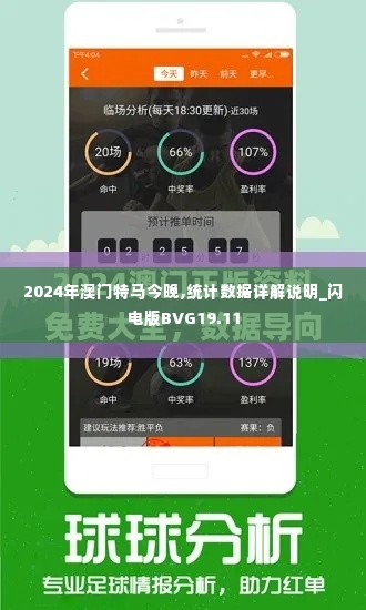 2024年澳门特马今晚,统计数据详解说明_闪电版BVG19.11