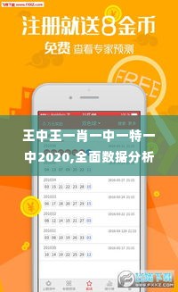 王中王一肖一中一特一中2020,全面数据分析_传统版YFP10.36