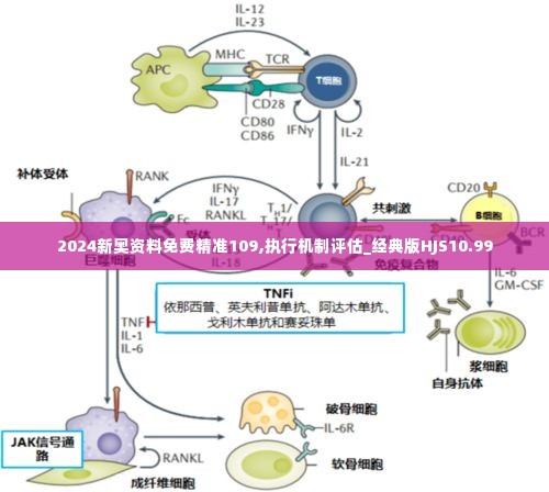 2024新奥资料免费精准109,执行机制评估_经典版HJS10.99