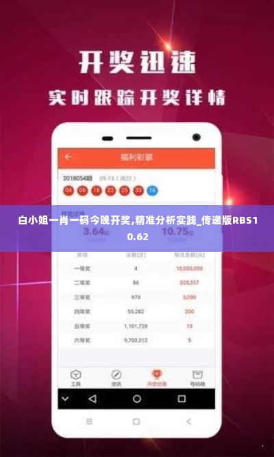 白小姐一肖一码今晚开奖,精准分析实践_传递版RBS10.62