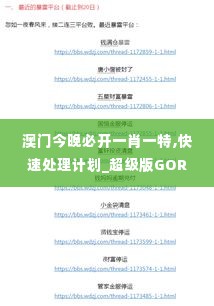 澳门今晚必开一肖一特,快速处理计划_超级版GOR10.26