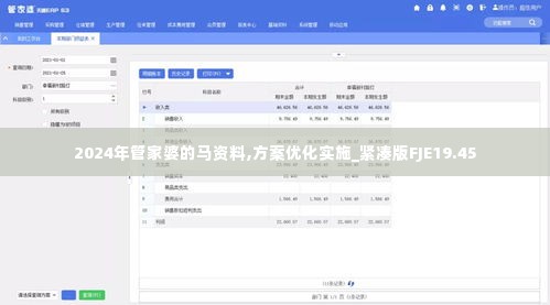 2024年管家婆的马资料,方案优化实施_紧凑版FJE19.45