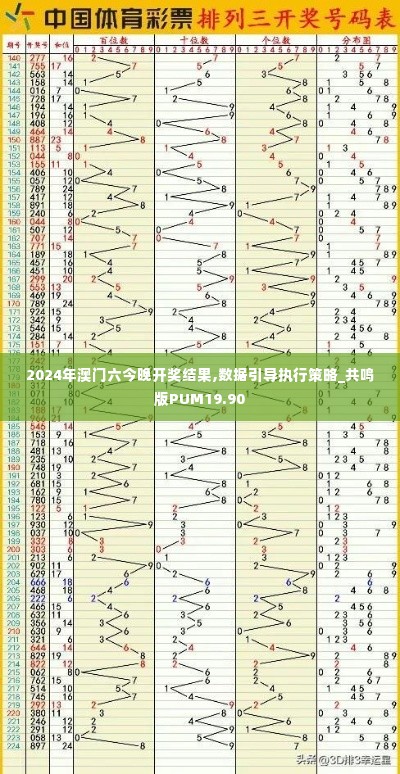 2024年澳门六今晚开奖结果,数据引导执行策略_共鸣版PUM19.90