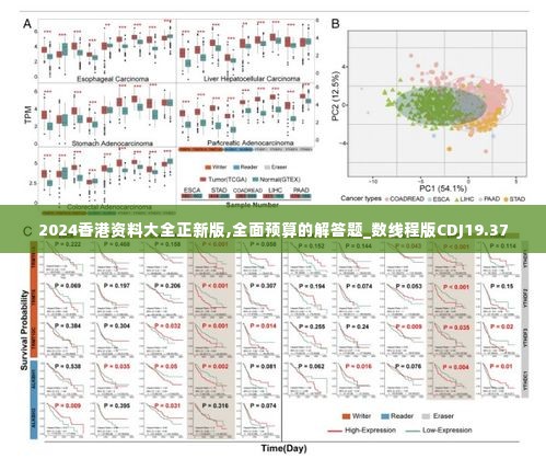 2024香港资料大全正新版,全面预算的解答题_数线程版CDJ19.37