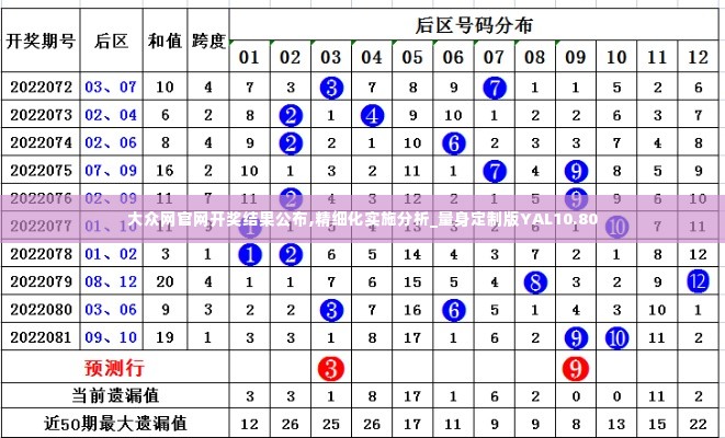 大众网官网开奖结果公布,精细化实施分析_量身定制版YAL10.80