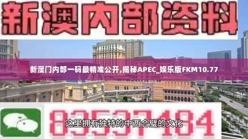 新澳门内部一码最精准公开,揭秘APEC_娱乐版FKM10.77