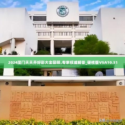 2024澳门天天开好彩大全回顾,专家权威解答_硬核版VSA10.31