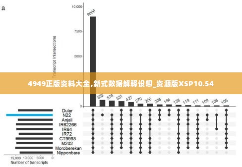 4949正版资料大全,新式数据解释设想_资源版XSP10.54