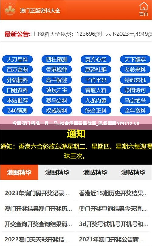 今晚澳门精准一肖一马,社会承担实践战略_流线型版YME19.68