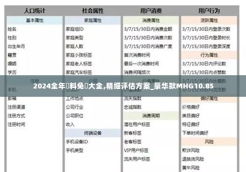 2024全年資料免費大全,精细评估方案_豪华款MHG10.85